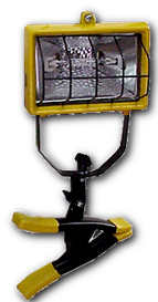 Model LSTC